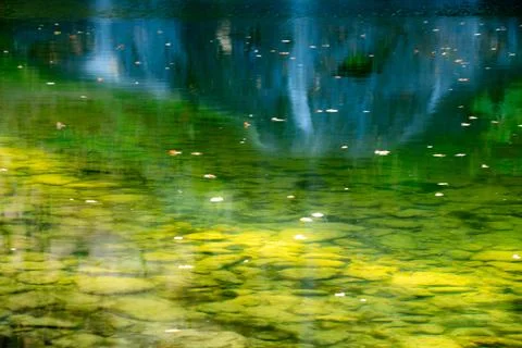 Abstract Reflection on Tranquil Pond Stock-Fotos