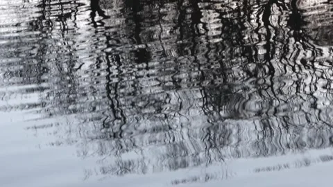 Abstract reflection of tree branches in shiny lake water surface Stock Footage 323847389