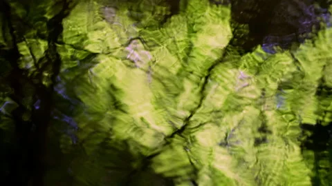 Abstract reflection of tree leaves in a small forest river. A psychedelic image. Stock Footage 232243011