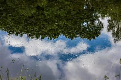 Abstract reflection of trees and clouds on a calm lake surface Stock Photos