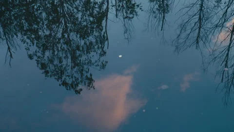 Abstract Reflection of Trees and Evening Clouds on Calm Water Stock Footage 342777126