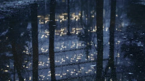 Abstract reflection of trees and warm lights on icy water surface in a winter Stock Footage 331010246
