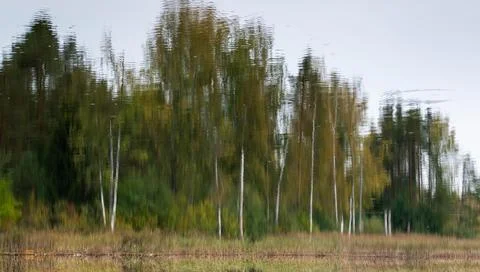 Abstract reflection of trees in water Stock Photos
