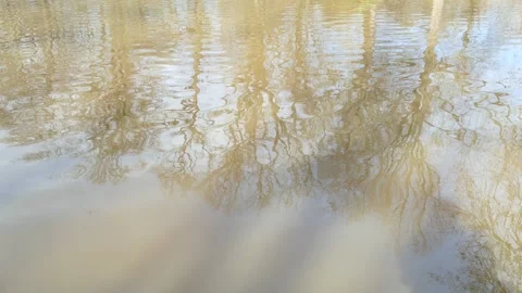 Abstract reflection of trees on water in winter, Germany Stock Footage 330858886