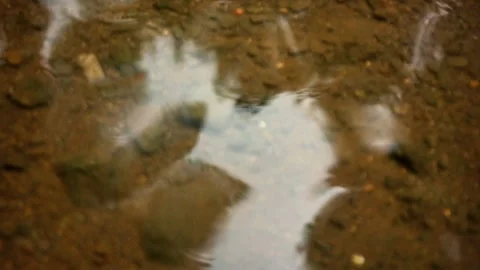Abstract Reflection in Water with Muddy Bottom Stock Footage 306439628