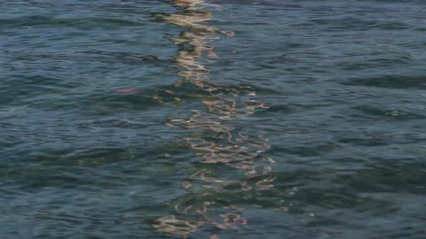 Abstract reflection on waves Stock Footage 223486128