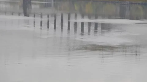 Abstract reflections on the Allegheny River beneath a city bridge Stock Footage 331983205