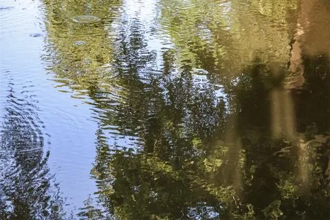 Abstract reflections of trees and sky on rippling water surface Stock Photos