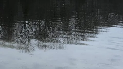 Abstract Reflections of Trees Rippling on water Surface Stock Footage 331895809