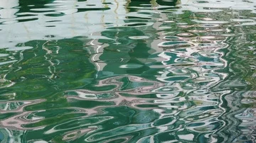 Abstract reflections in water, slow motion Stock Footage 86004570