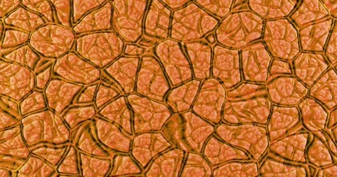 The abstract relief surface oscillates smoothly Stock Footage 332215089