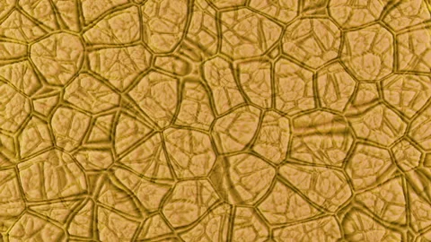 The abstract relief surface smoothly oscillates endlessly Stock-Footage 332862025