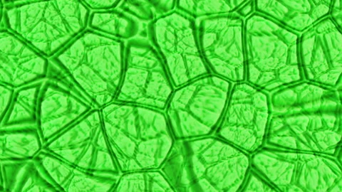 The abstract relief surface smoothly oscillates endlessly Stock-Footage 332865321