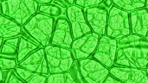 The abstract relief surface smoothly oscillates endlessly Stock Footage 332868373