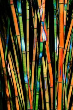 Abstract Rendition of Bamboo Forest Stock-Fotos