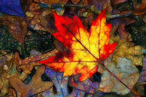 Abstract Rendition of Fallen Maple Leaf in Autumn Stock Photos