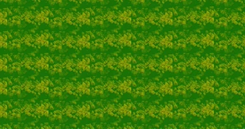 Abstract repeating pattern of green and yellow shapes. Stock Footage 309893001