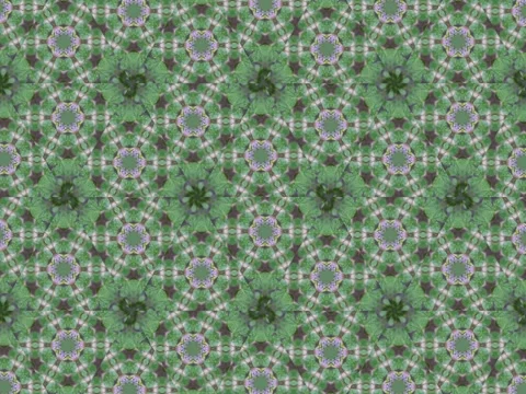 An abstract, repeating pattern of stylized purple flowers and green foliage crea Stock Footage 306982703