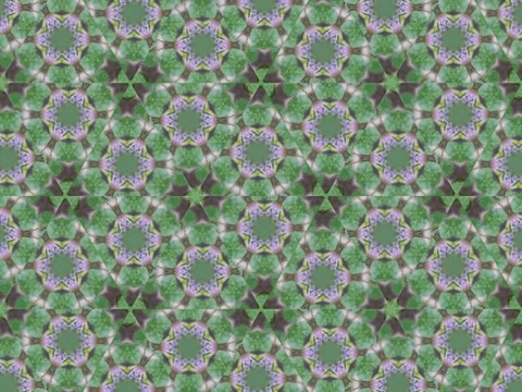 An abstract, repeating pattern of stylized purple flowers and green foliage crea Stock Footage 306982717