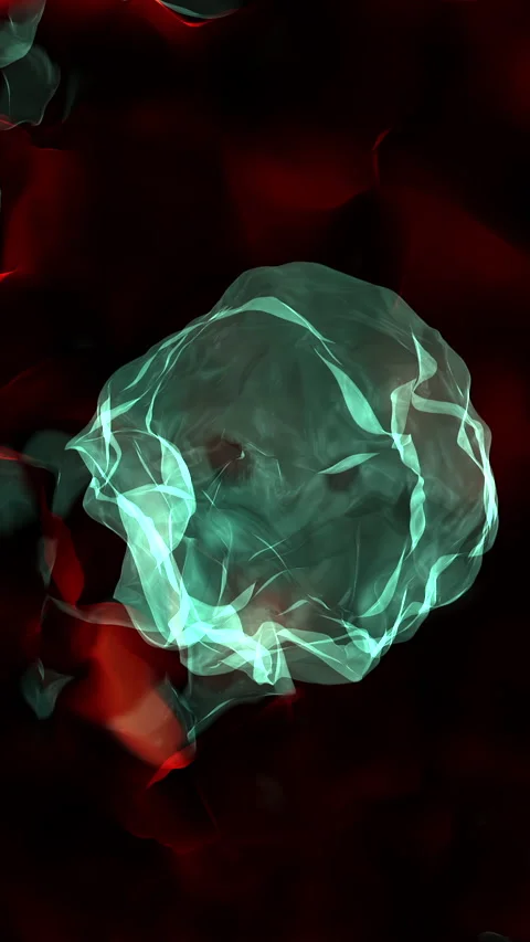 An Abstract Representation of Cellular Structures in Context of Particle Vidéo 287507830