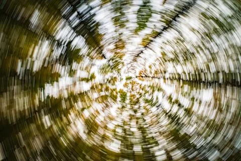 An Abstract Representation of Circular Motion Within a Lush Forest Canopy Spa Stock Photos