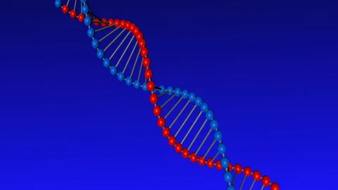 Abstract representation of digital binary plexus DNA molecule. Stock Footage 167221066