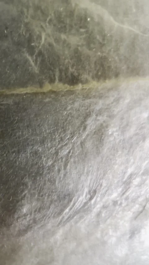 Abstract Resin Texture with Shell-Like Organic Pattern Stock Footage 331251097