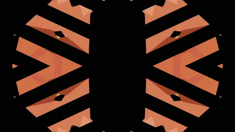 Abstract Retro Design Background Loop Stock Footage 201480024