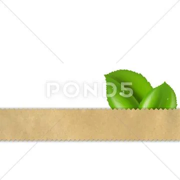 Abstract retro vector paper background with leaf Stock Illustration