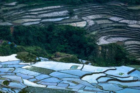Abstract rice terraces texture with sky reflection. Banaue, Philippines Am... Stock Photos