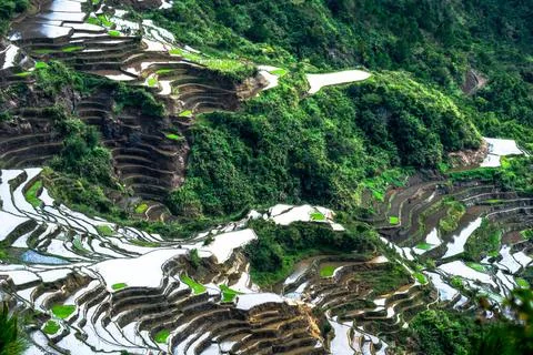 Abstract rice terraces texture with sky reflection. Banaue, Philippines Am... Stock Photos