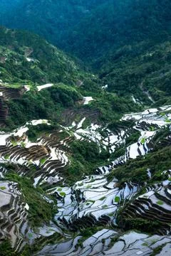 Abstract rice terraces texture with sky reflection. Banaue, Philippines Am... Stock Photos
