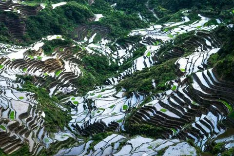 Abstract rice terraces texture with sky reflection. Banaue, Philippines Am... Stock Photos