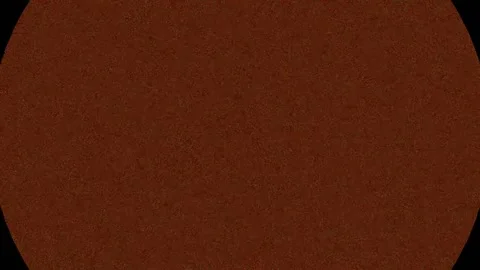Abstract rich brown gradient seamless loop background template for design c.. Stock Footage 342204801