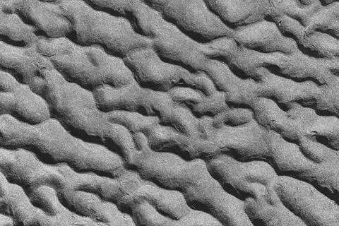 Abstract rippled sand texture background in monochrome, close up natural pattern Foto stock