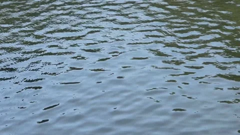 Abstract ripples and waves pattern of clear fresh water river texture Stock Footage 246871593