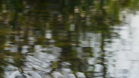 Abstract River Reflection Trees, Close Up Slow Motion Stock Footage 342179672
