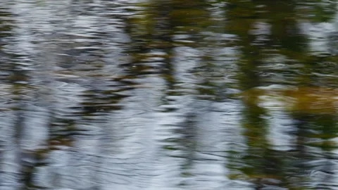 Abstract River Ripple Tree Reflection, Macro Slow Motion Stock Footage 342179577