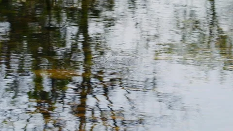 Abstract River Ripples Reflecting Trees, Wide Slow Motion Stock Footage 342179777
