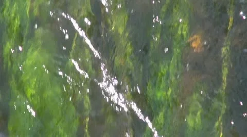 Abstract river stream background Stock Footage 12179691