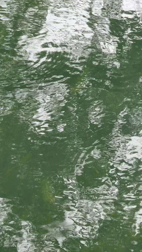 Abstract river surface ripples and waves pattern with reflection of trees Stock Footage 247909277