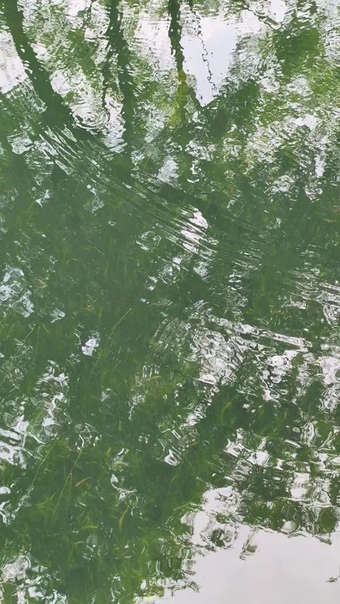 Abstract river surface ripples and waves ink pattern with reflection of trees 库存影片 247909292