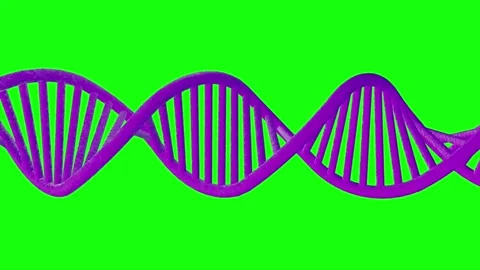 Abstract RNA strand loop rotating on green screen background for biotech and sci Stock Footage 313560545