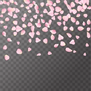 Abstract romanic background with flying Pink rose, cherry or sakura petals Stock Illustration