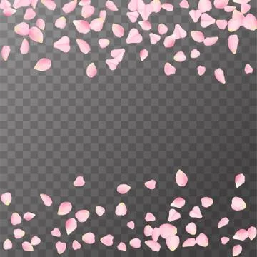 Abstract romanic background with flying Pink rose, cherry or sakura petals Stock Illustration