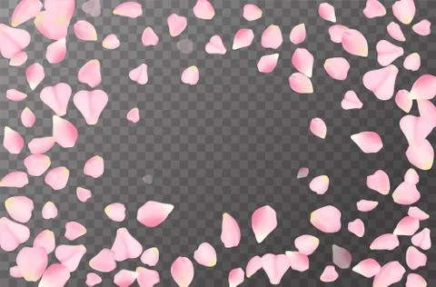 Abstract romanic background with flying Pink rose, cherry or sakura petals Stock Illustration
