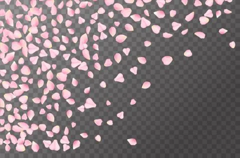 Abstract romanic background with flying Pink rose, cherry or sakura petals Stock Illustration