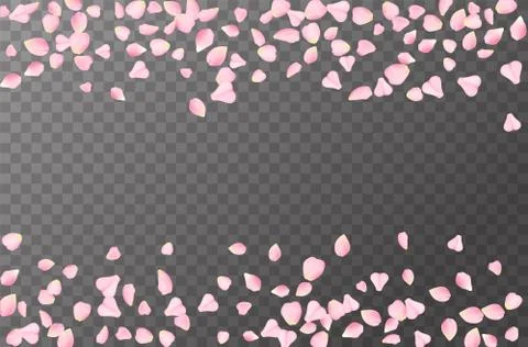 Abstract romanic background with flying Pink rose, cherry or sakura petals Stock Illustration