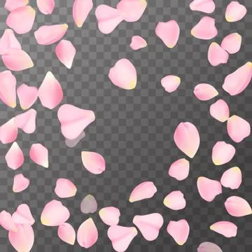 Abstract romanic background with flying Pink rose, cherry or sakura petals Stock Illustration