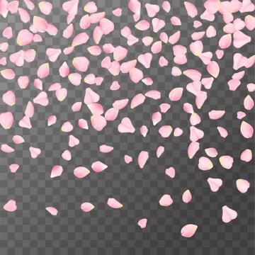 Abstract romanic background with flying Pink rose, cherry or sakura petals Stock Illustration